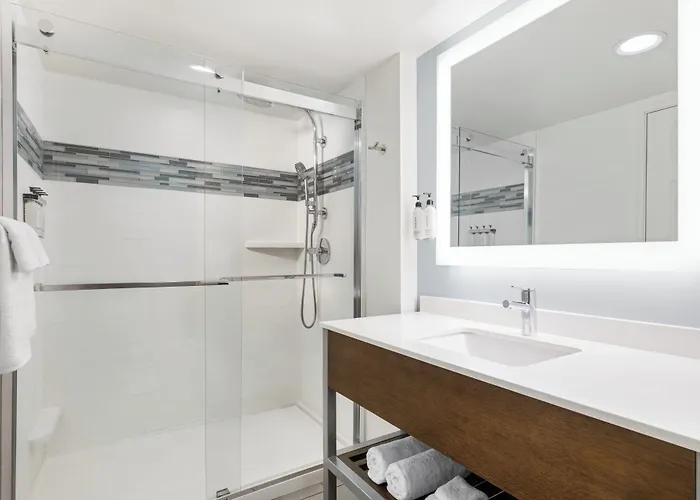 Hampton Chicago-tinley Park 3* Tinley Park